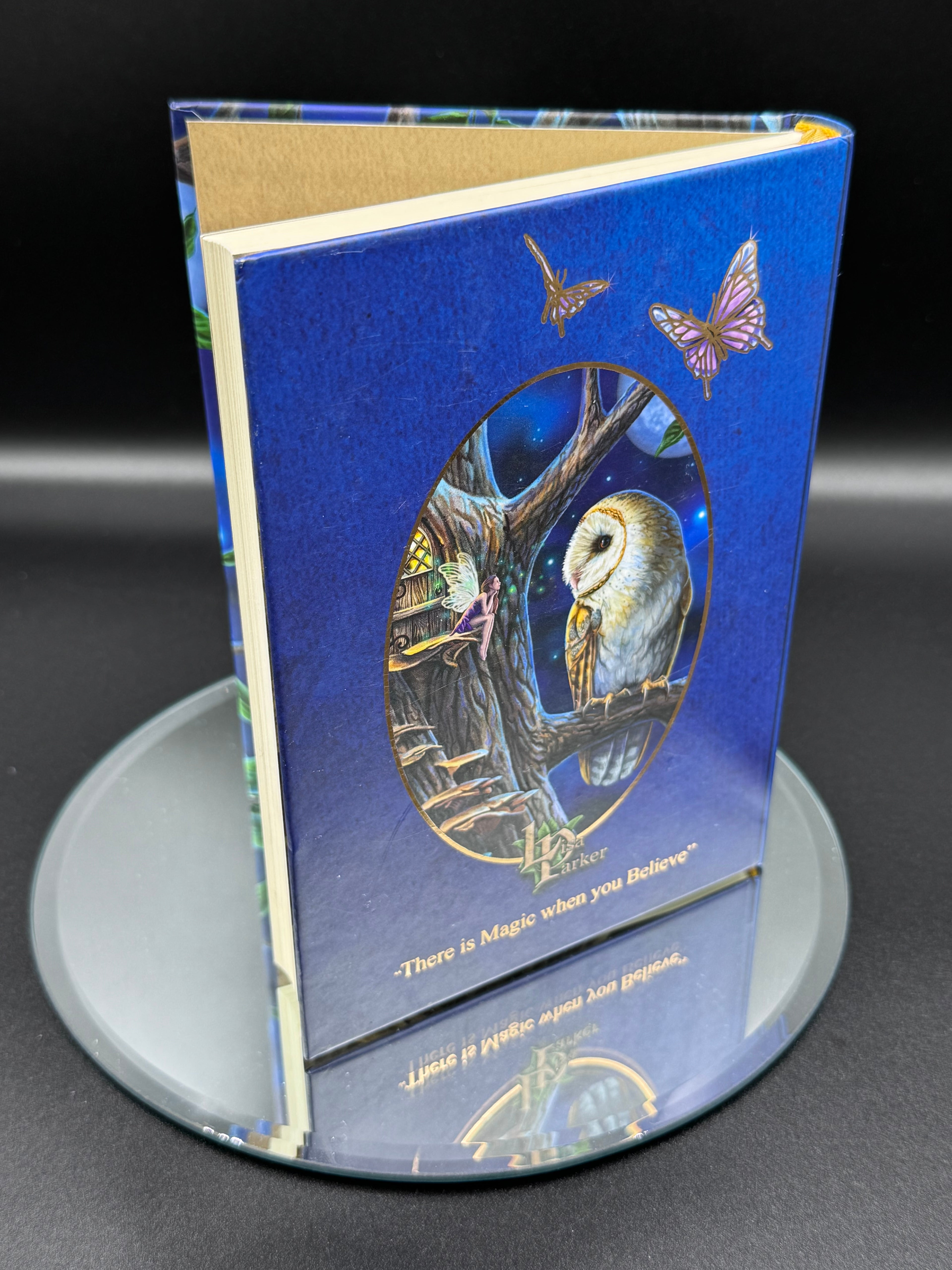 Lisa Parker Fairy Tales Owl And Fairy Journal Book Note Pad (17cm)