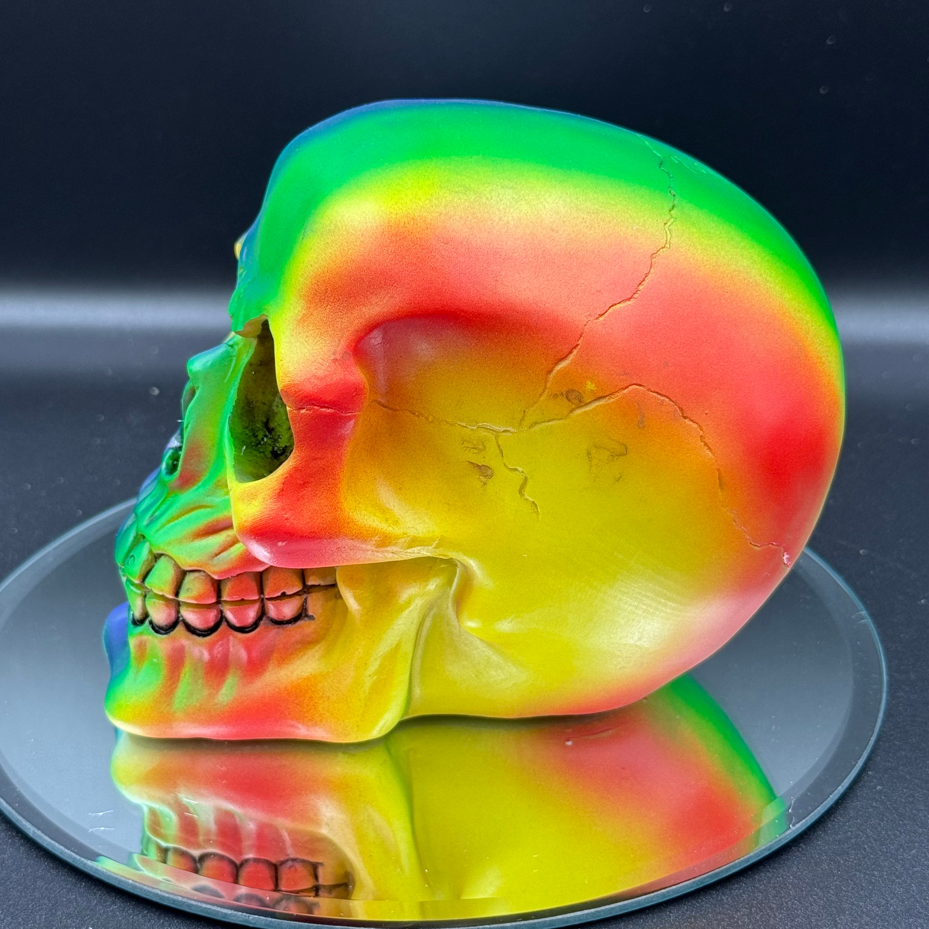Skull Rainbow Colours