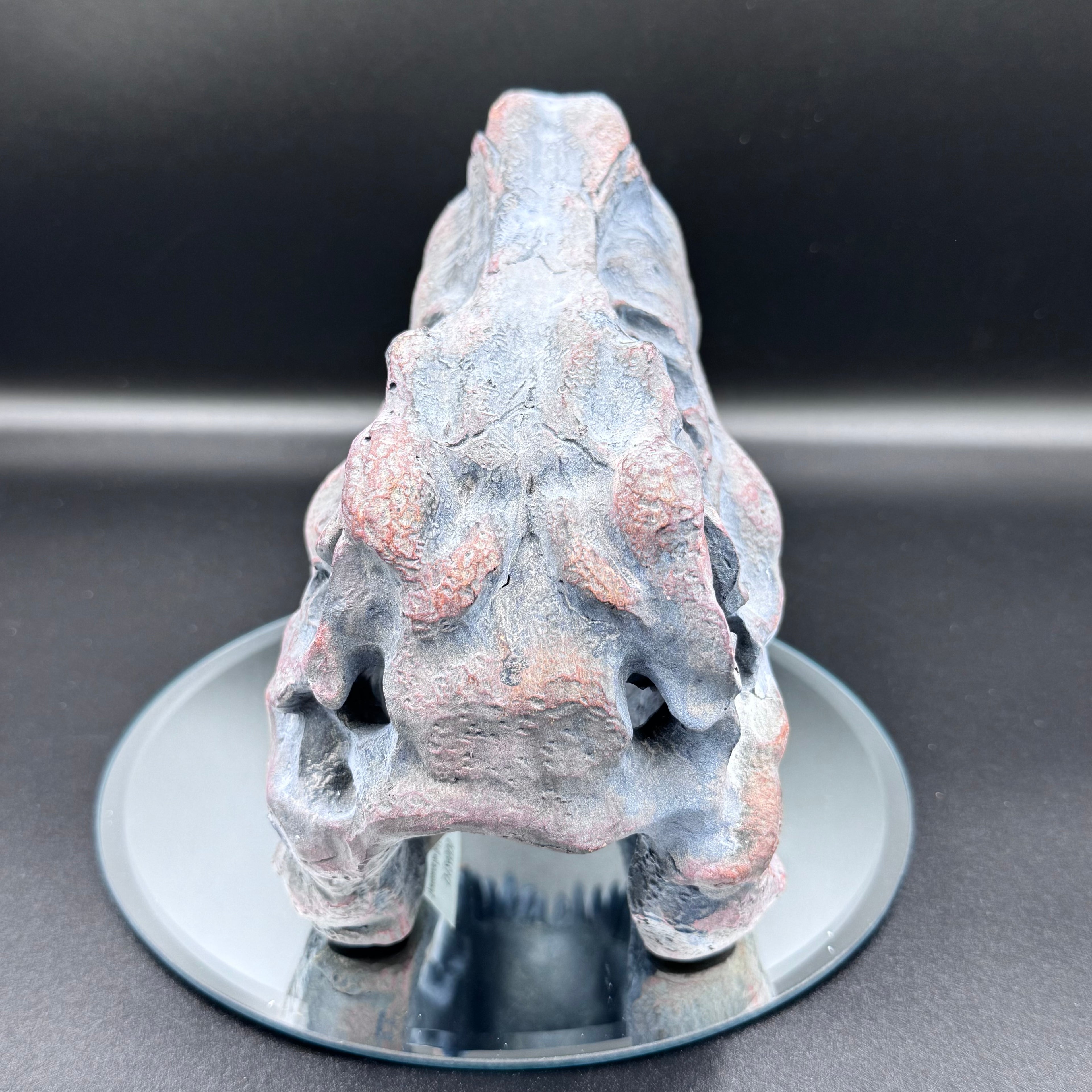 Freestanding Tyrannosaurus Rex Skull Figurine Ornament