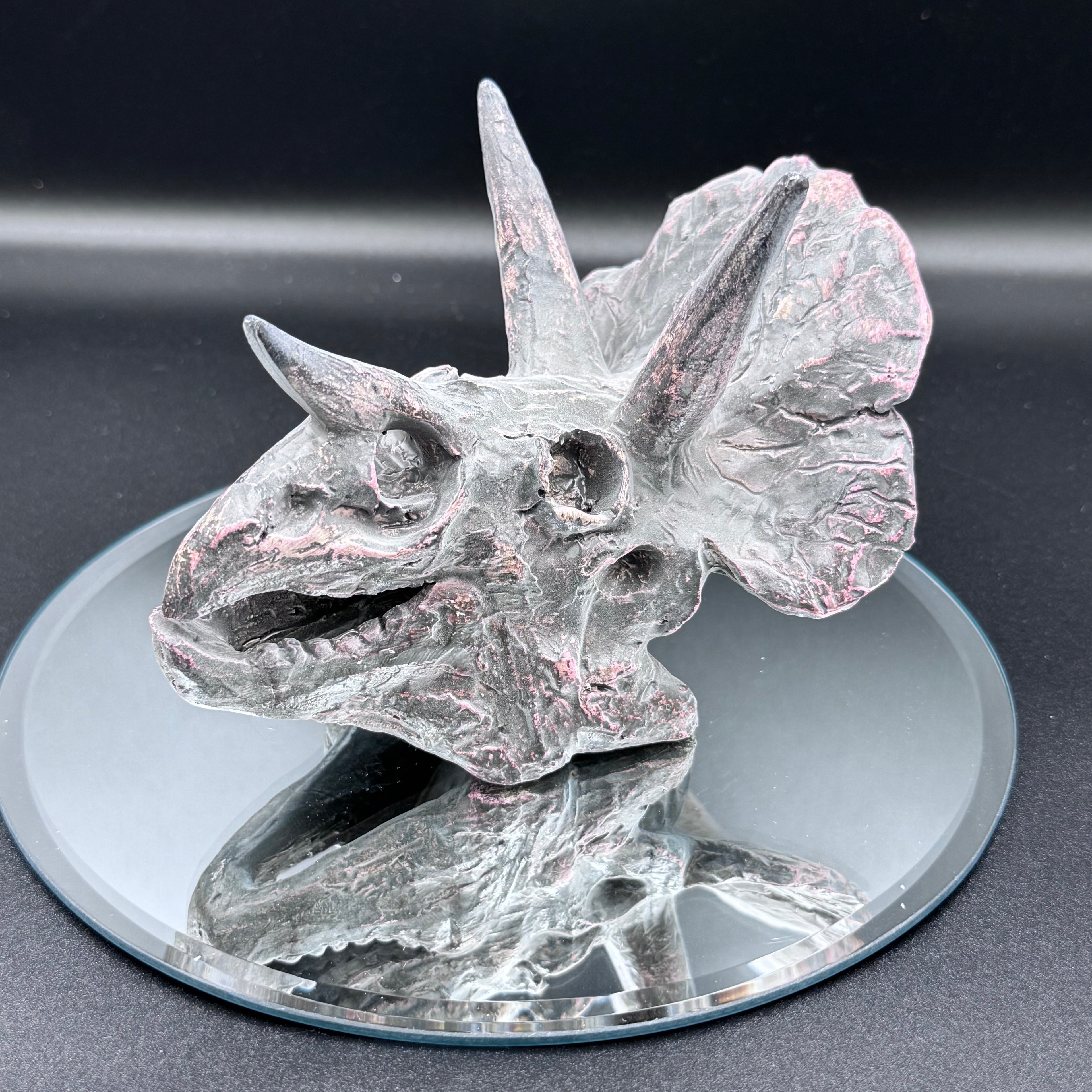 Triceratops Skull Resin Replica
