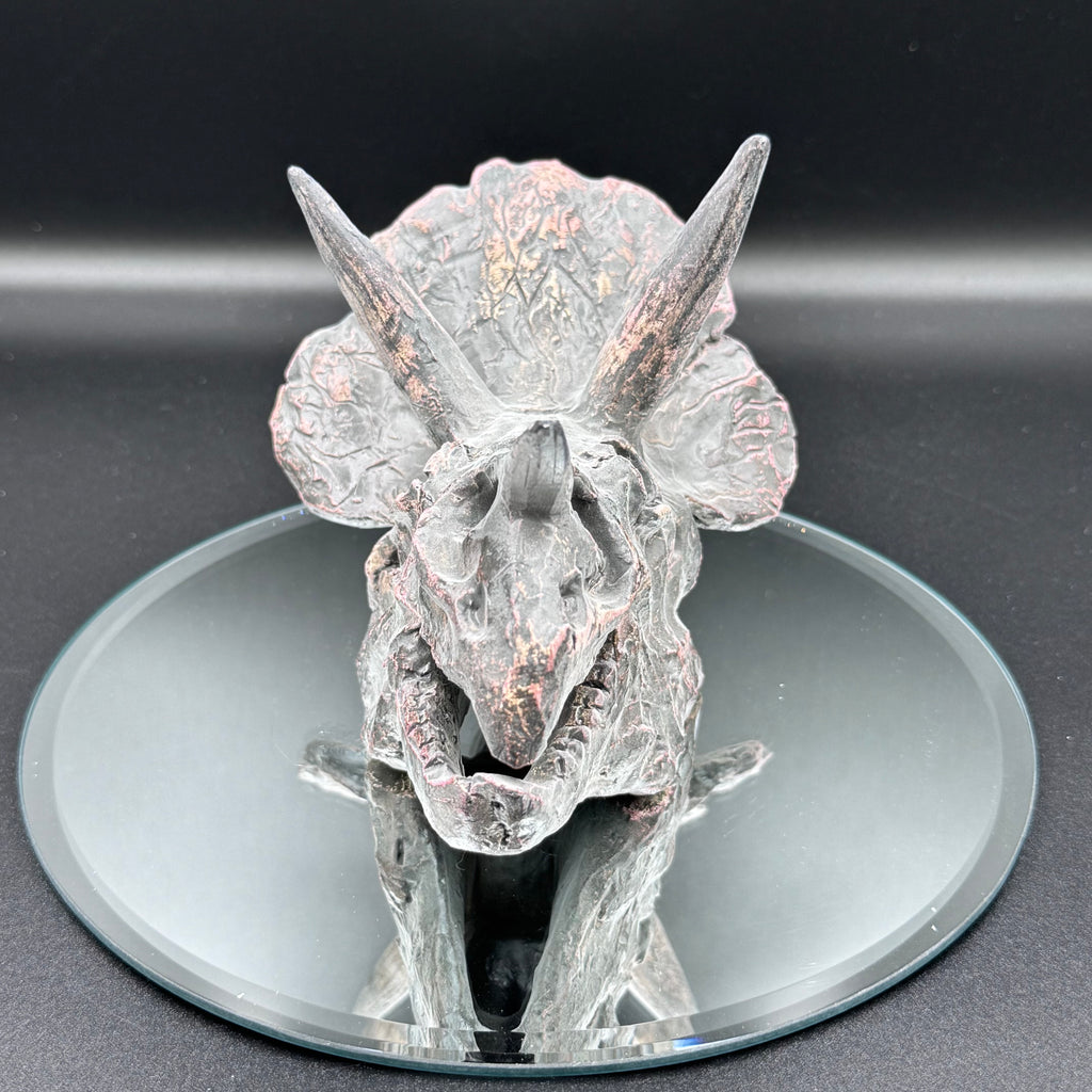 Triceratops Skull Resin Replica