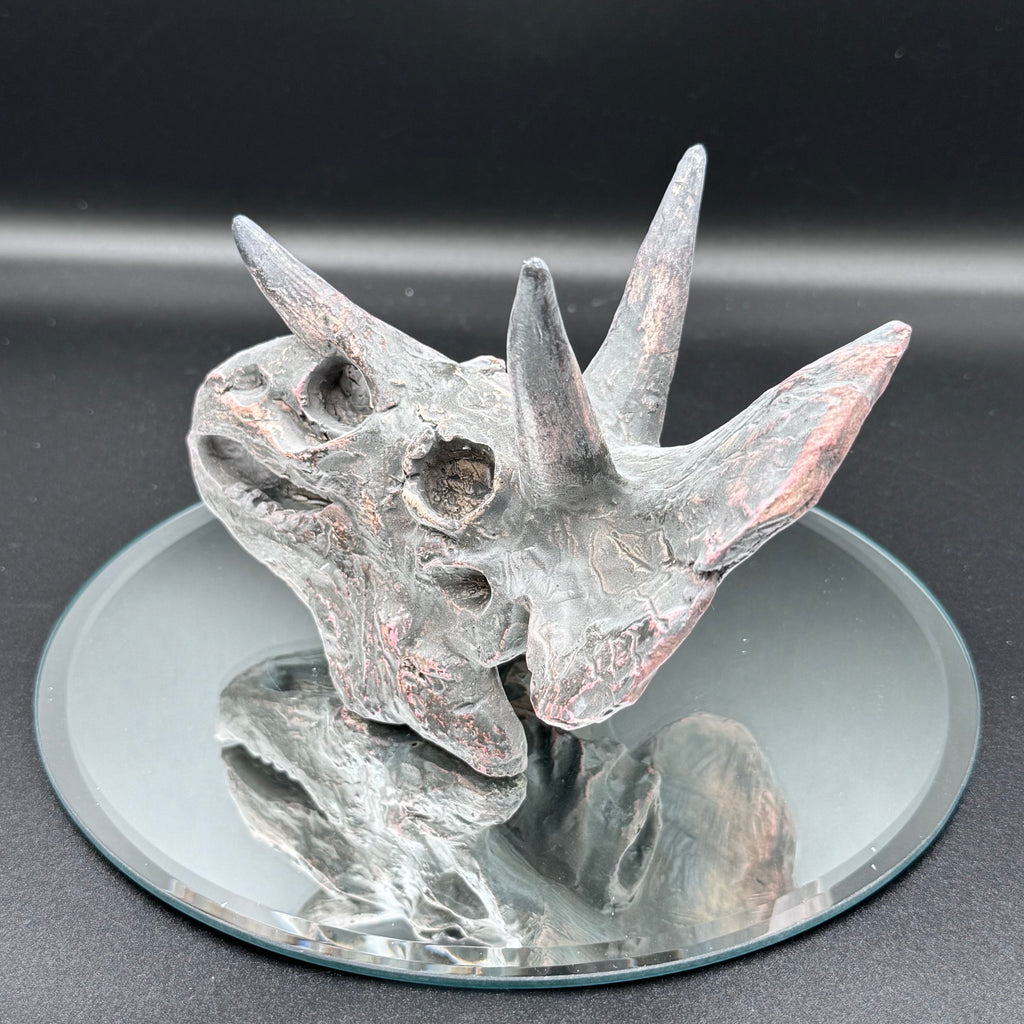 Triceratops Skull Resin Replica