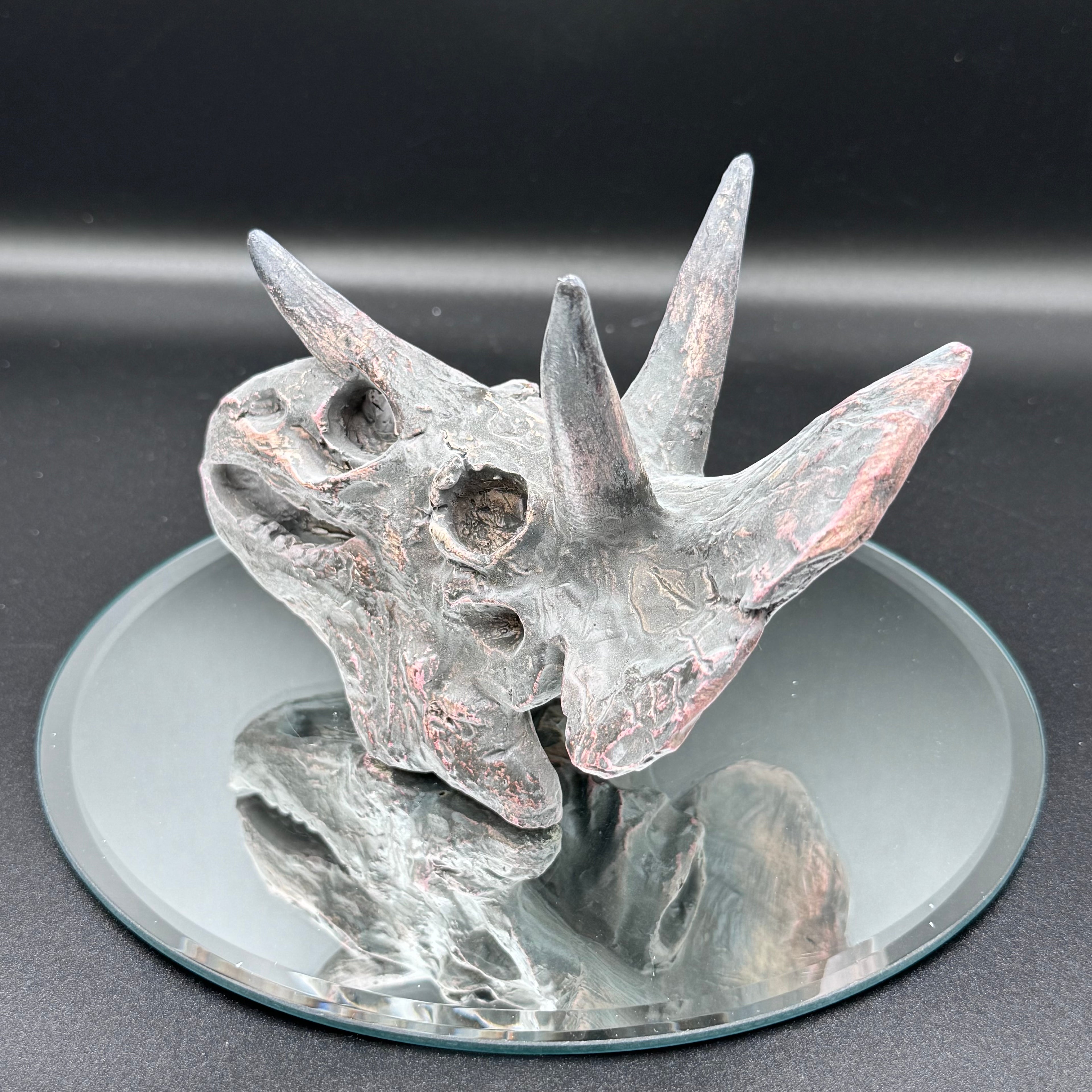 Triceratops Skull Resin Replica