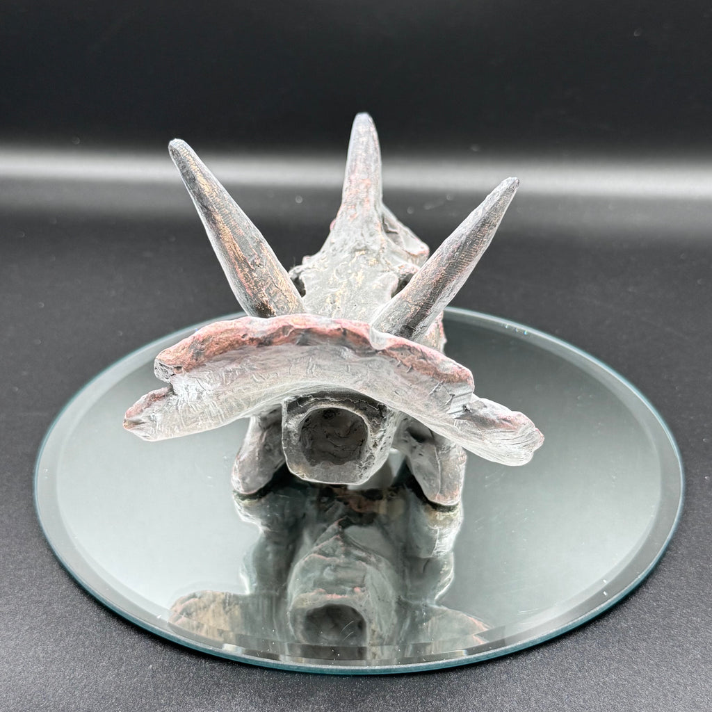 Triceratops Skull Resin Replica