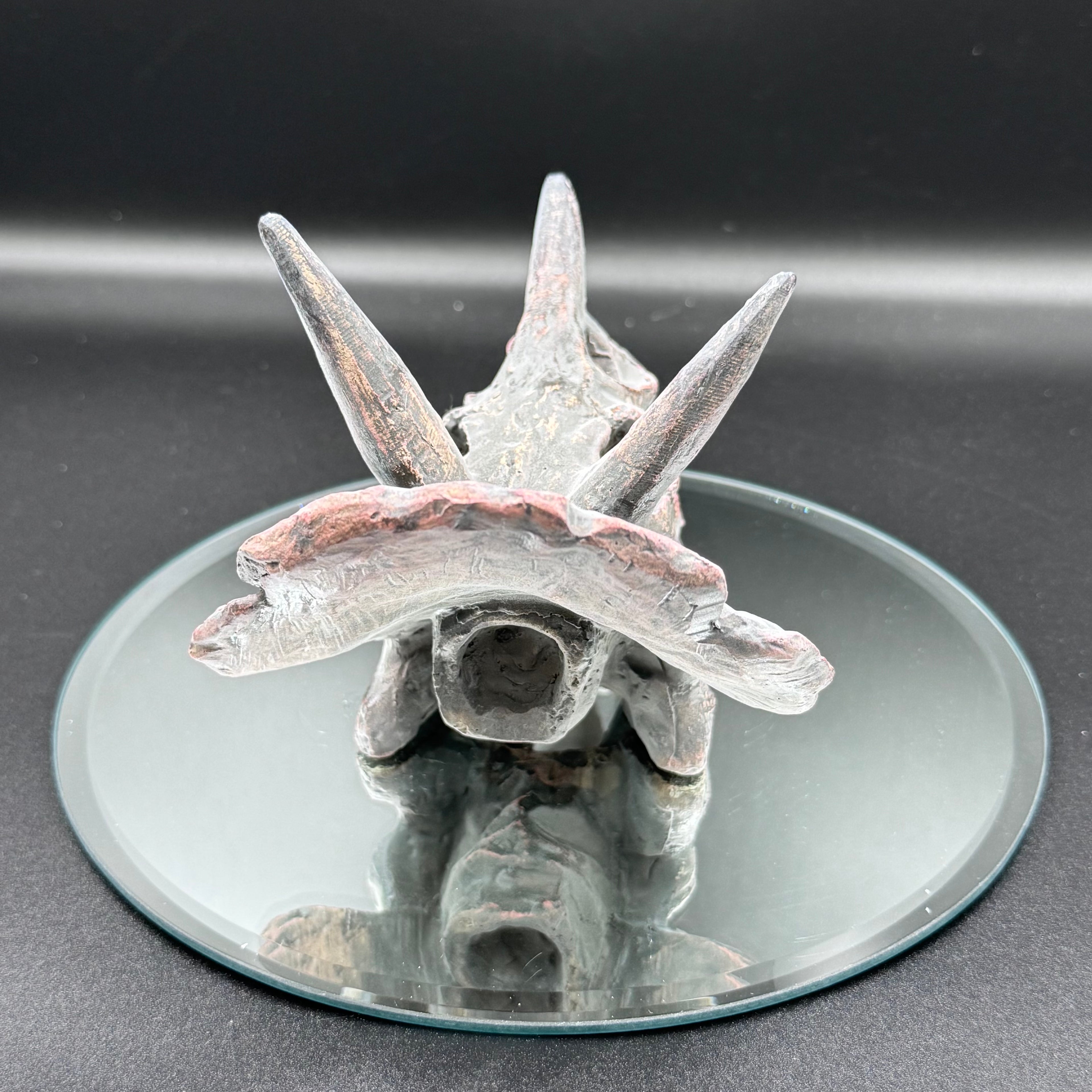 Triceratops Skull Resin Replica