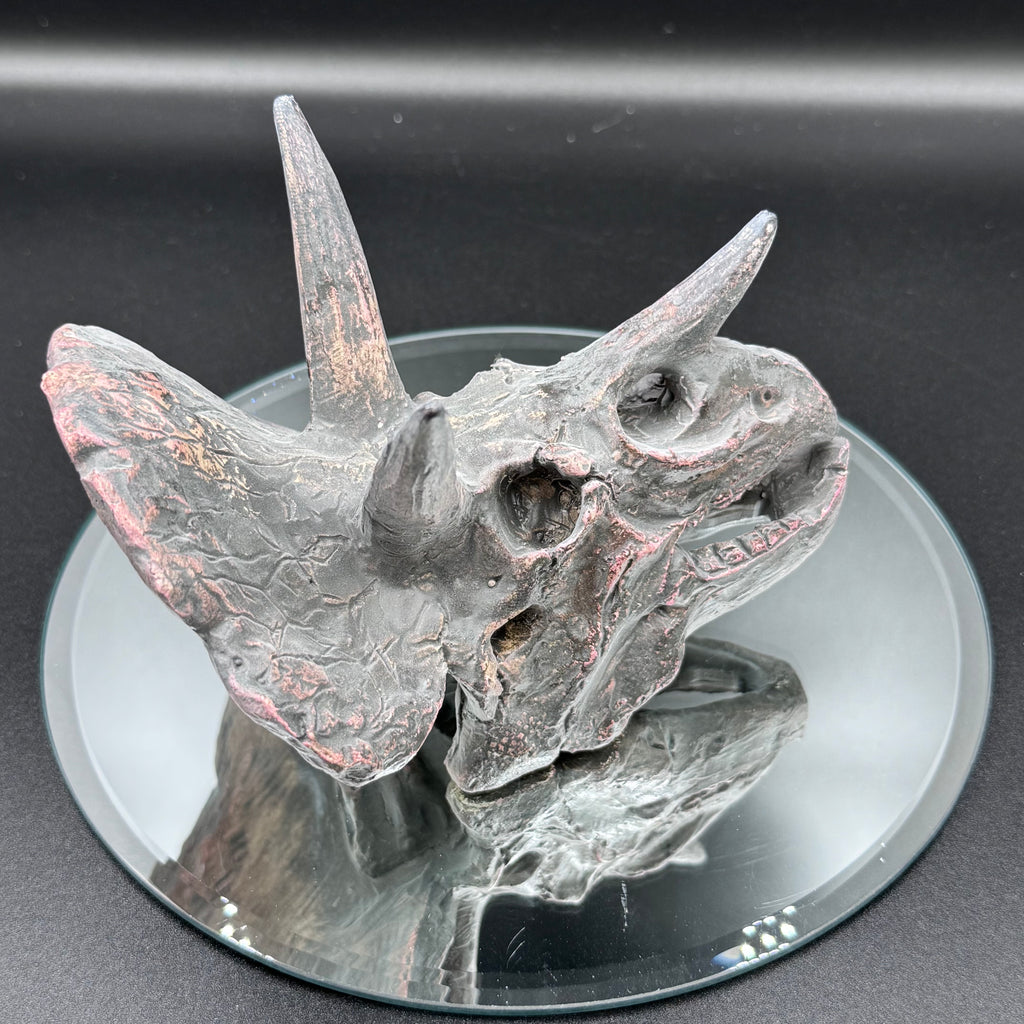 Triceratops Skull Resin Replica