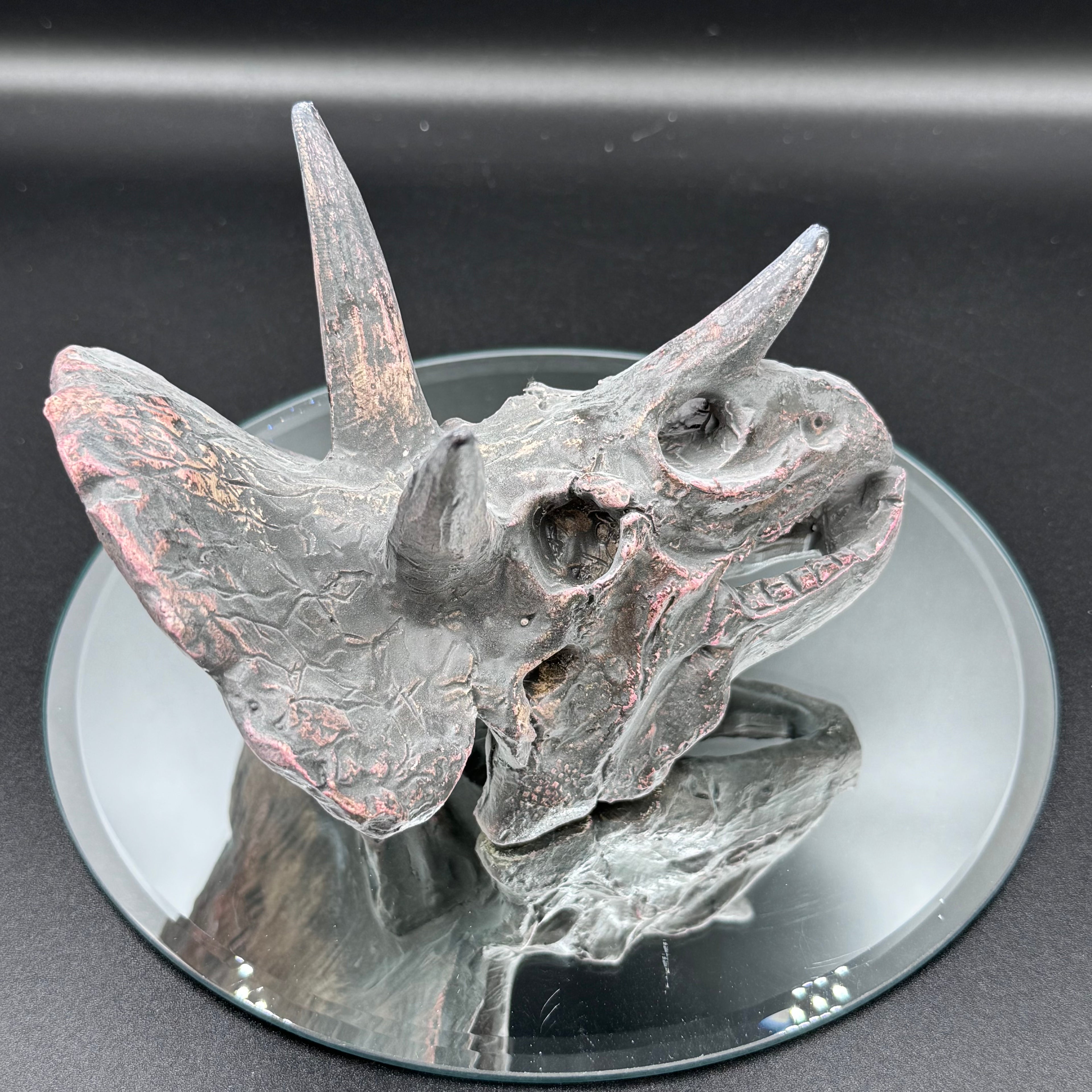 Triceratops Skull Resin Replica