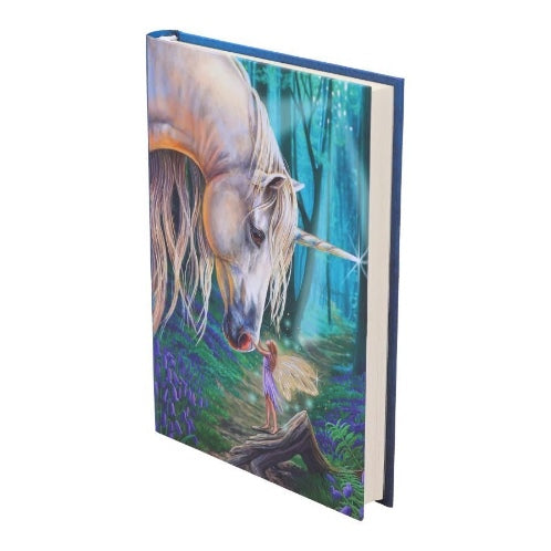 Nemesis Now Fairy Whispers Journal | Fairy & Unicorn Notebook