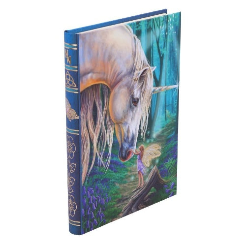 Nemesis Now Fairy Whispers Journal | Fairy & Unicorn Notebook
