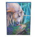 Nemesis Now Fairy Whispers Journal | Fairy & Unicorn Notebook