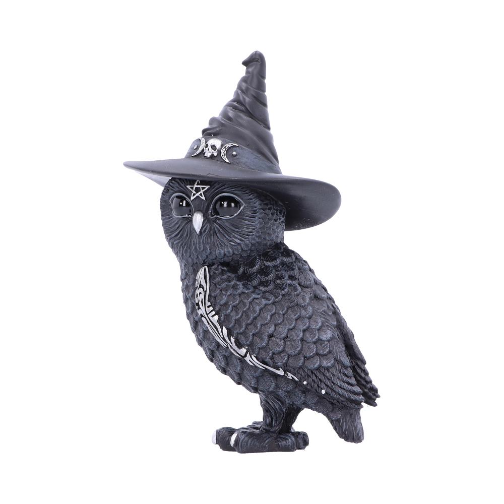 Cult Cuties Owlocen Witch Owl Figurine 13.5cm