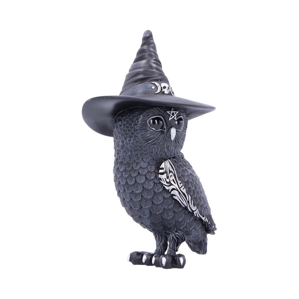 Cult Cuties Owlocen Witch Owl Figurine 13.5cm