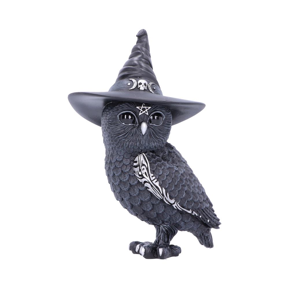 Cult Cuties Owlocen Witch Owl Figurine 13.5cm