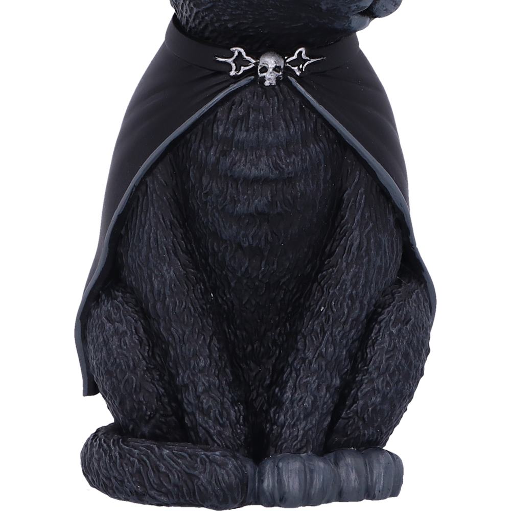 Purrah Black Witch Cat Hanging Ornament 11.5cm – Nemesis Now