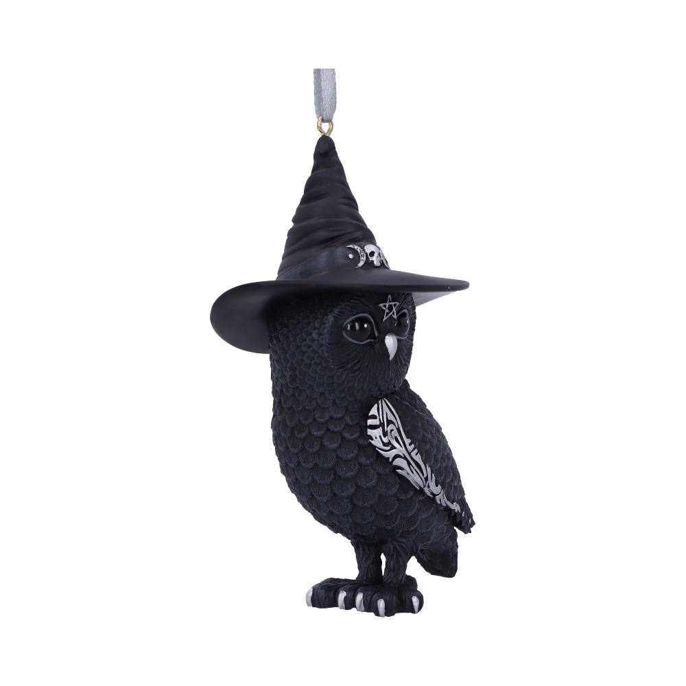 Owlocen Black Witch Owl Hanging Ornament 12cm – Nemesis Now