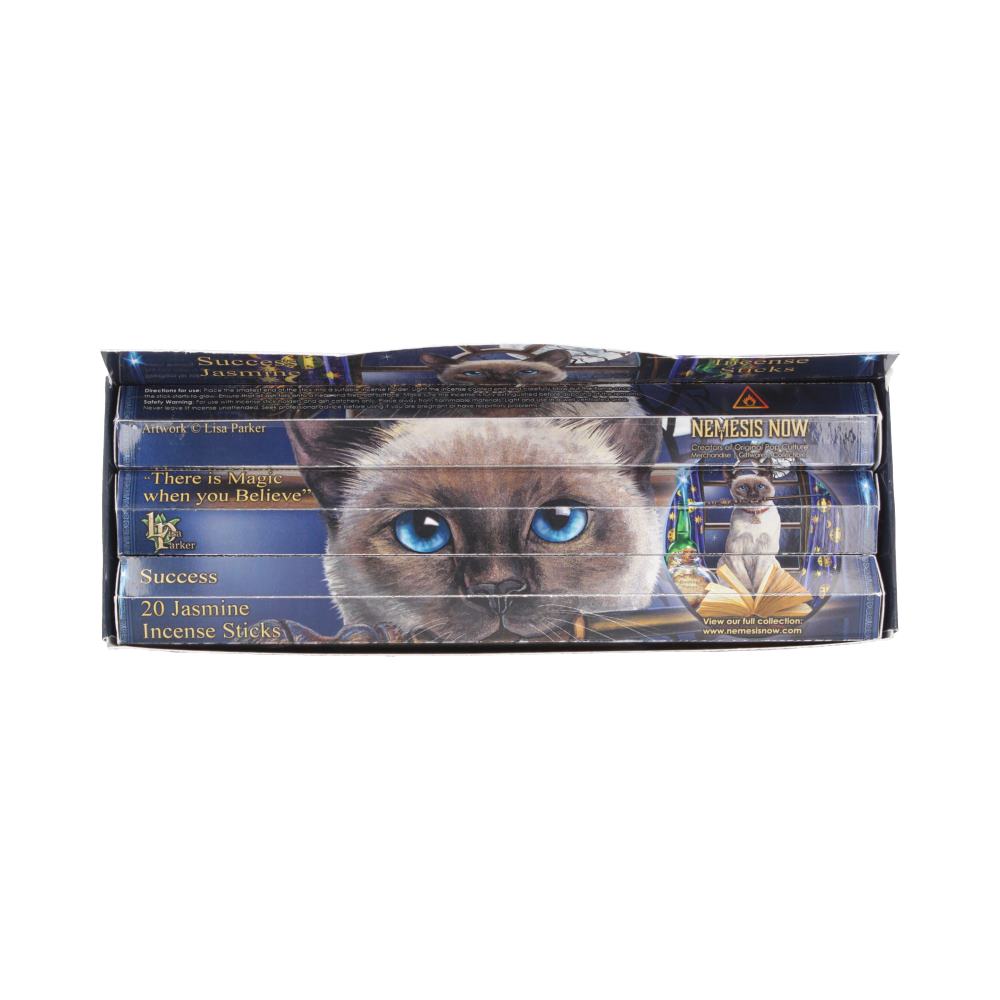 Lisa Parker Success Jasmine Incense Sticks – 120 Pack