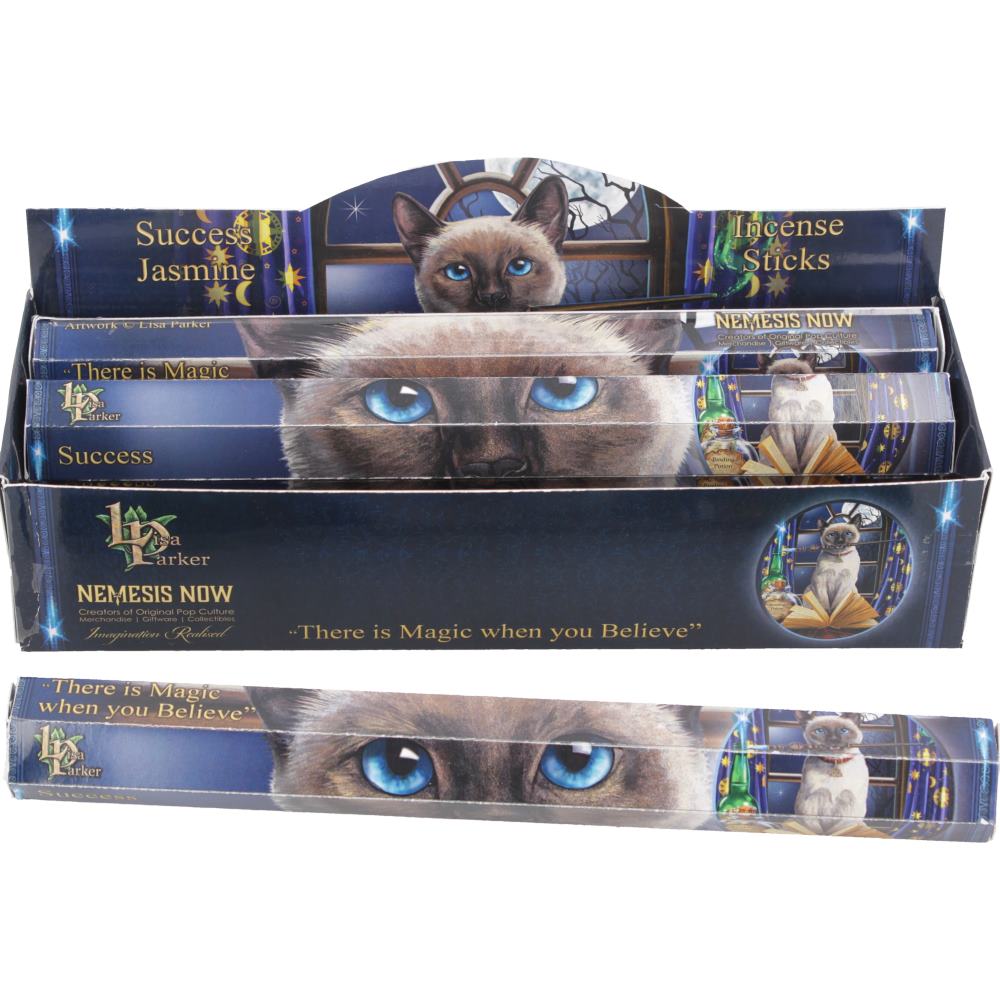 Lisa Parker Success Jasmine Incense Sticks – 120 Pack