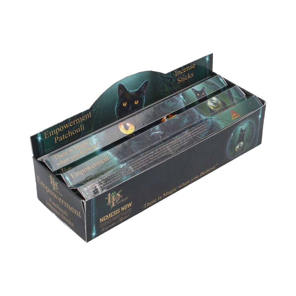 Lisa Parker Empowerment Patchouli Incense Sticks – 120 Pack