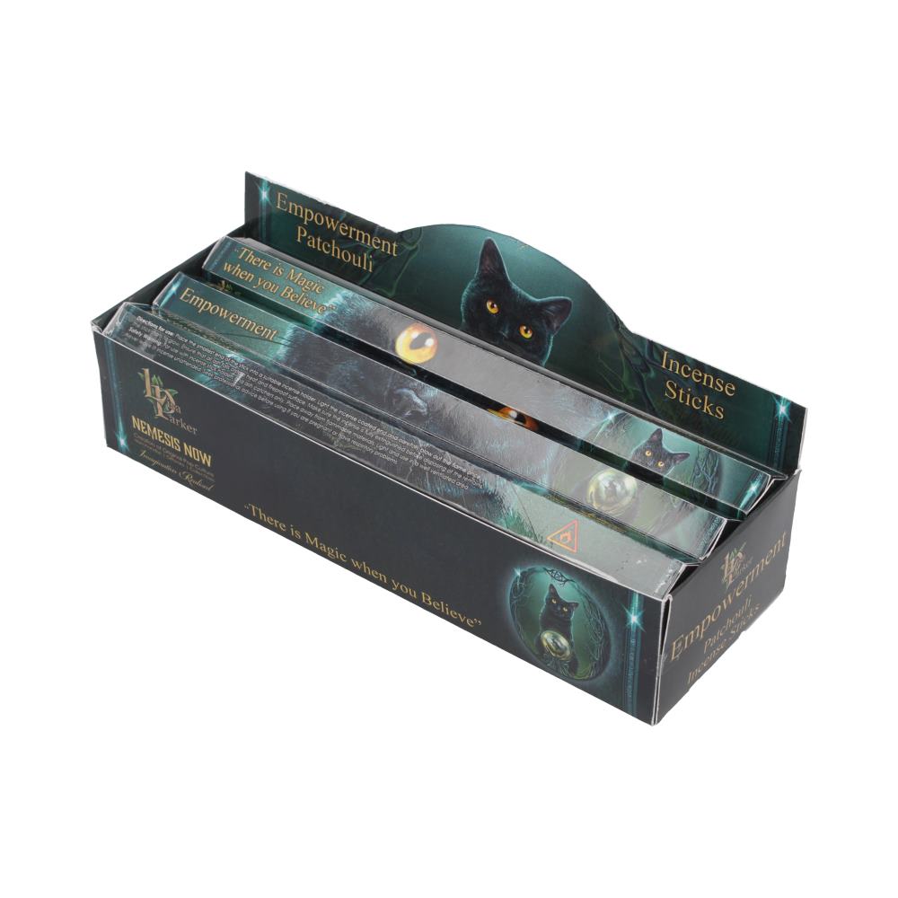 Lisa Parker Empowerment Patchouli Incense Sticks – 120 Pack