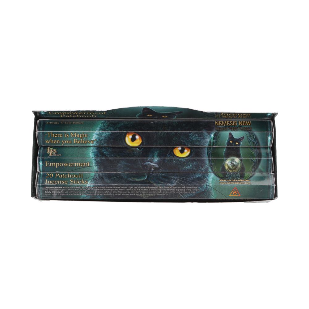 Lisa Parker Empowerment Patchouli Incense Sticks – 120 Pack