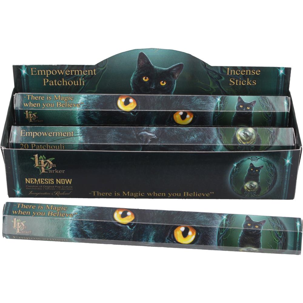 Lisa Parker Empowerment Patchouli Incense Sticks – 120 Pack