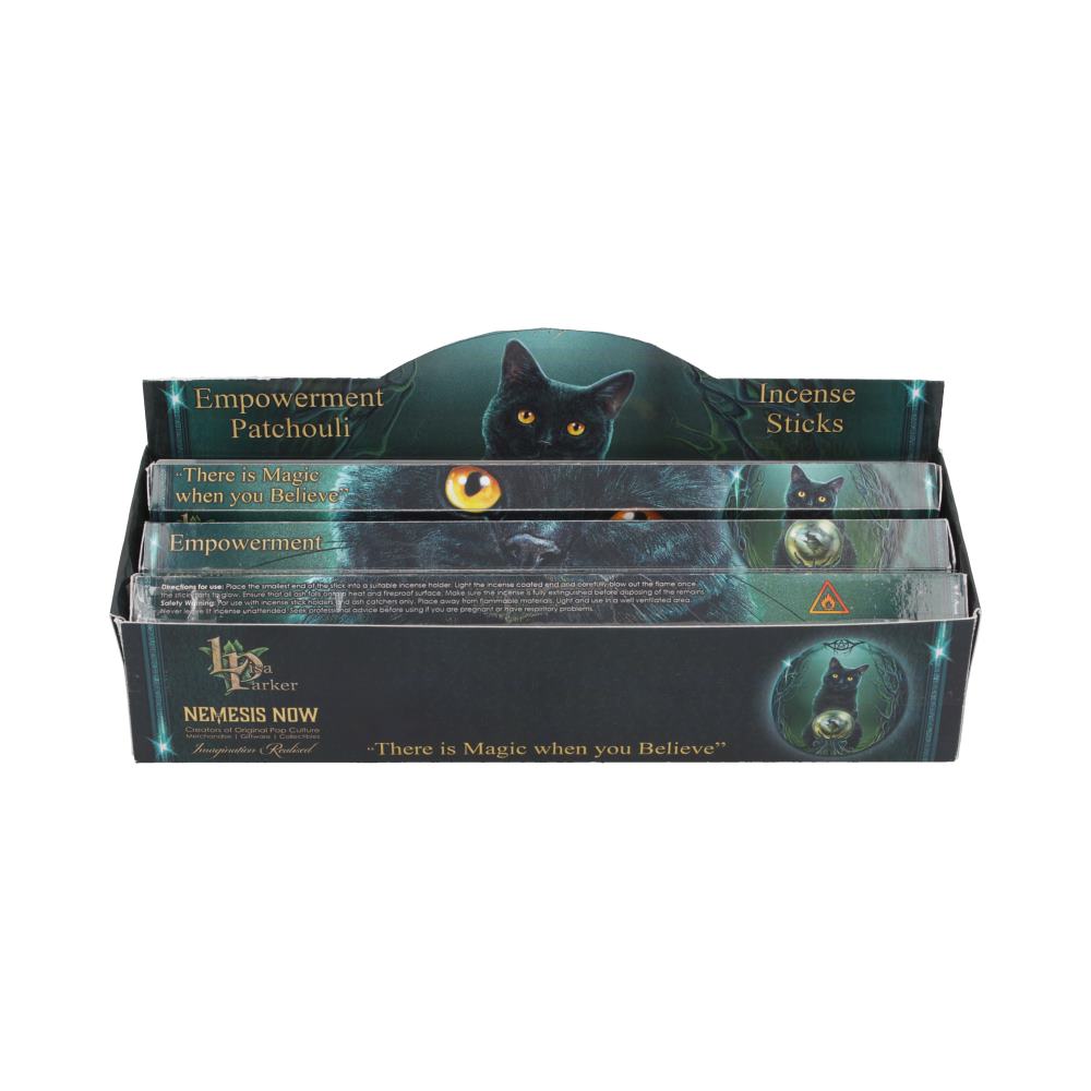 Lisa Parker Empowerment Patchouli Incense Sticks – 120 Pack