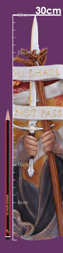 Lord of the Rings Gandalf You Shall Not Pass Wall Plaque, 30.4cm