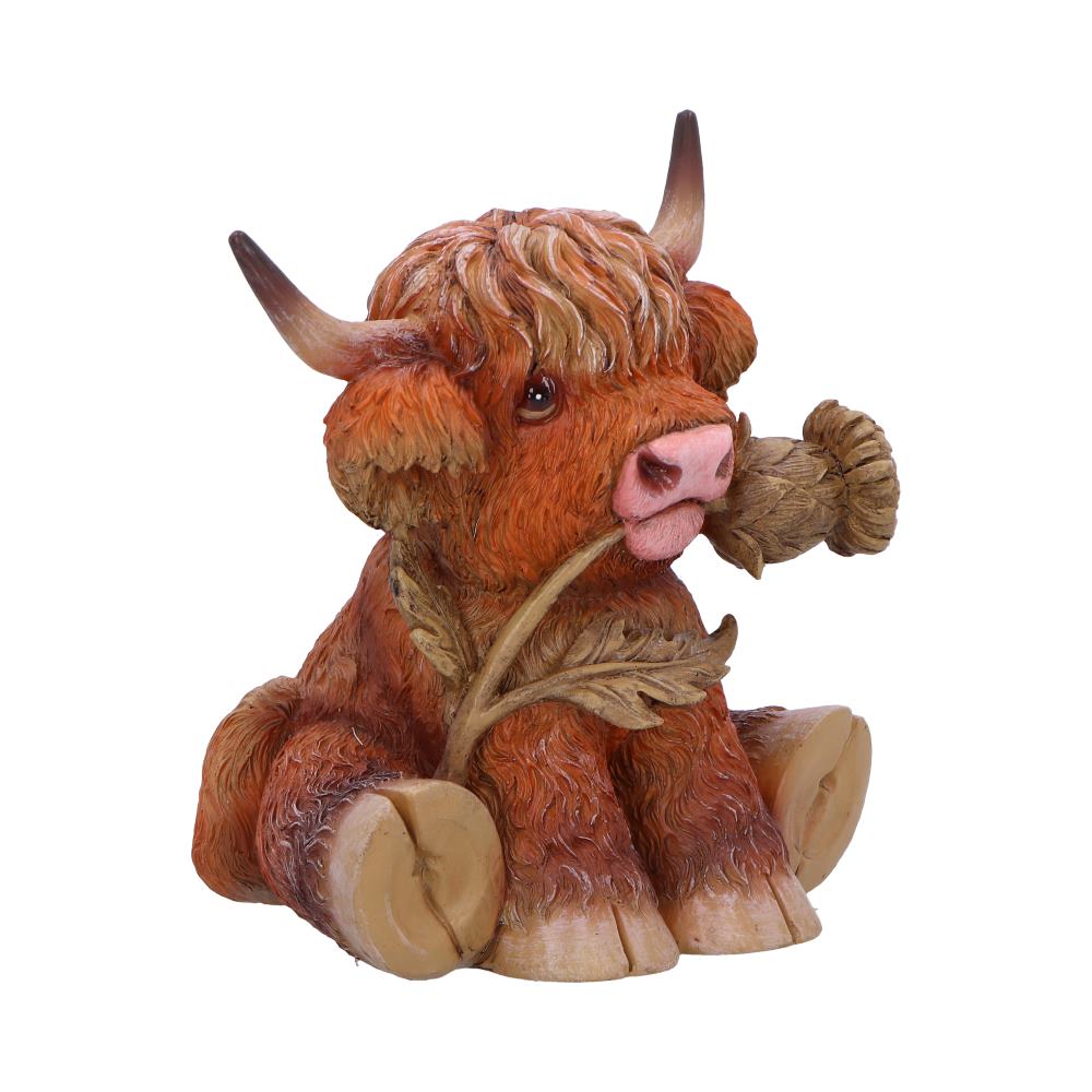 Nemesis Now Highland Thistle Highland Cow Figurine – 10.5cm
