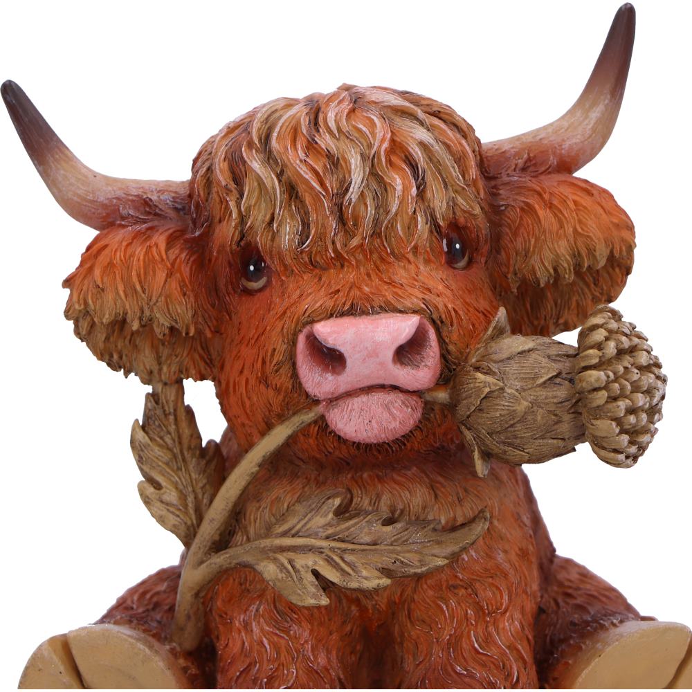 Nemesis Now Highland Thistle Highland Cow Figurine – 10.5cm