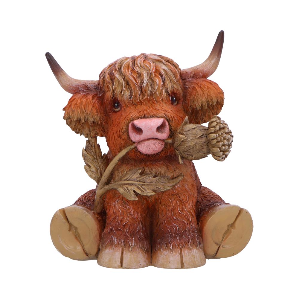 Nemesis Now Highland Thistle Highland Cow Figurine – 10.5cm