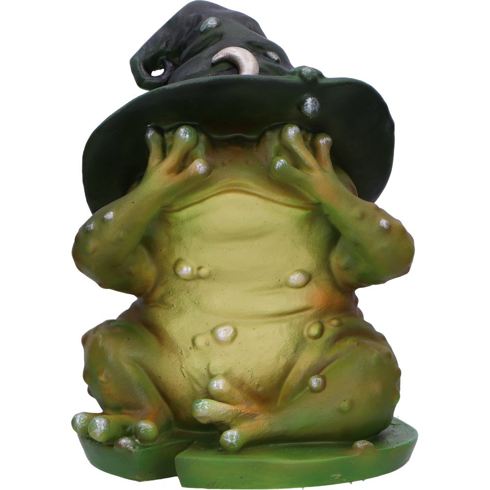 Nemesis Now Three Wise Wizard Toad Figurines – 10.3cm Set of 3