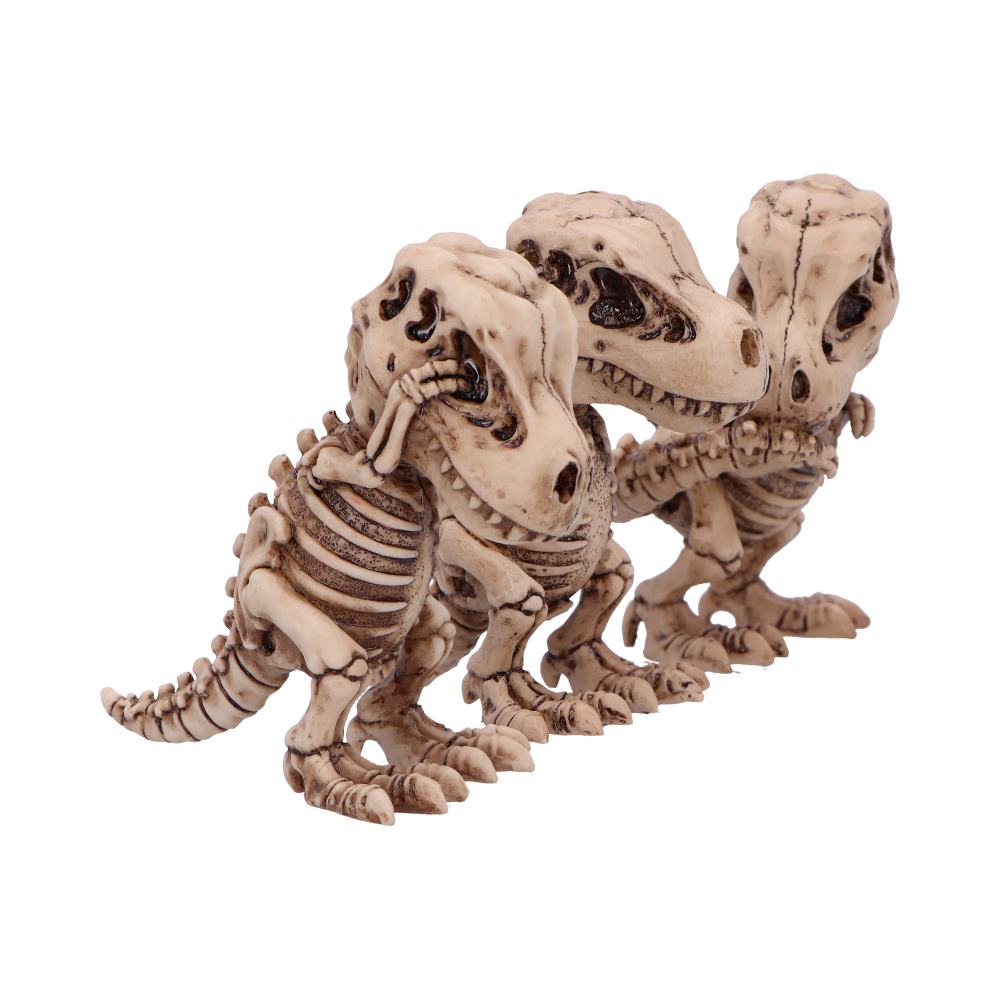 Nemesis Now Three Wise T-Rex Skeleton Figurines – 9.3cm Set of 3