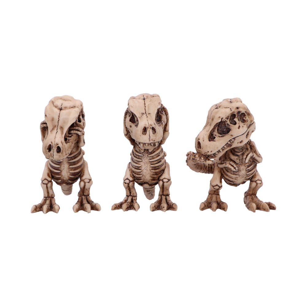 Nemesis Now Three Wise T-Rex Skeleton Figurines – 9.3cm Set of 3