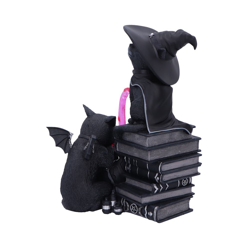 Malpuss & Purrah Curious Cauldron Figurine 18.5cm – Nemesis Now Cult Cuties