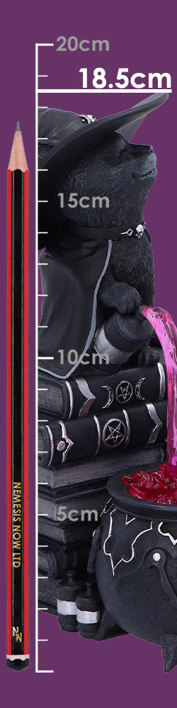 Malpuss & Purrah Curious Cauldron Figurine 18.5cm – Nemesis Now Cult Cuties
