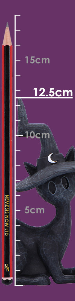 Charm Spell Cats Seated Black Witch Cat Figurine 12.5cm
