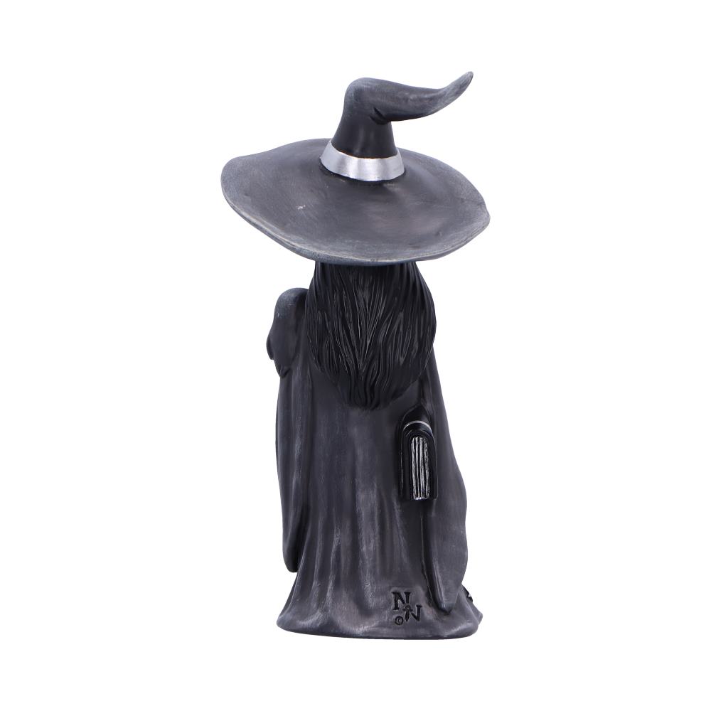 Nemesis Now Little Souls Gleam Witch & Owl Figurine – 12cm