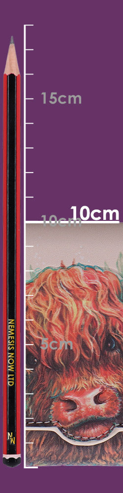 Nemesis Now Highland Cow Embossed Zip-Around Purse – 10cm