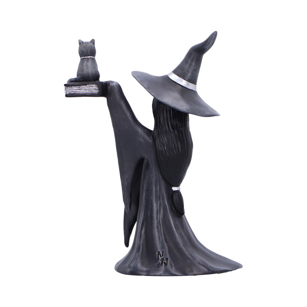 Nemesis Now Little Souls Shimmer Witch & Cat Figurine – 12.5cm