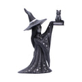 Nemesis Now Little Souls Shimmer Witch & Cat Figurine – 12.5cm