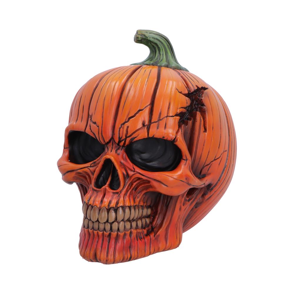Hall of Horrors Spirit of Halloween Pumpkin Skull | Gothic Halloween Skull Ornament | Nemesis Now 17.5cm
