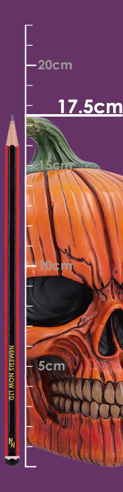 Hall of Horrors Spirit of Halloween Pumpkin Skull | Gothic Halloween Skull Ornament | Nemesis Now 17.5cm