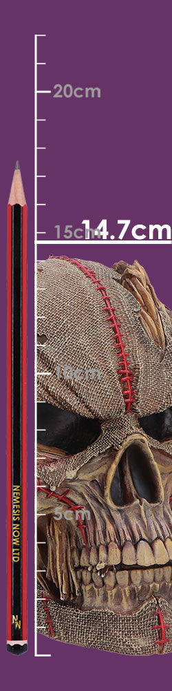 Hall of Horrors Keeper of the Harvest Scarecrow Skull | Gothic Halloween Skull Ornament | Nemesis Now 14.7cm