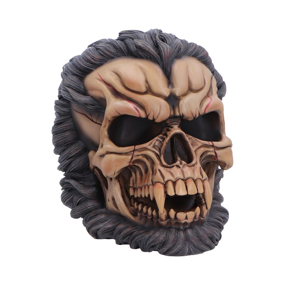 Hall of Horrors Beast of the Moon Werewolf Skull | Gothic Halloween Skull Ornament | Nemesis Now 16cm