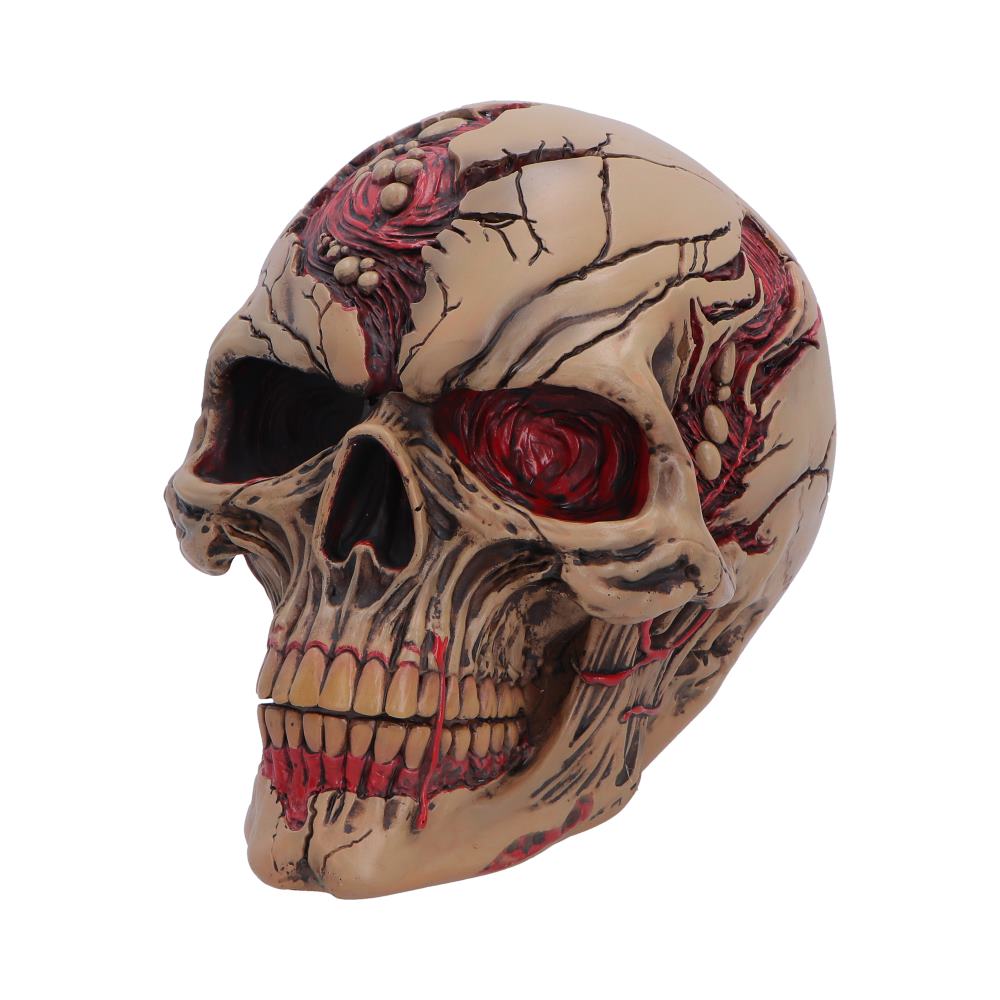 Hall of Horrors Walker of Death Zombie Skull | Gothic Halloween Skull Ornament | Nemesis Now 15.5cm