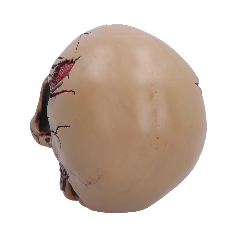 Hall of Horrors Walker of Death Zombie Skull | Gothic Halloween Skull Ornament | Nemesis Now 15.5cm