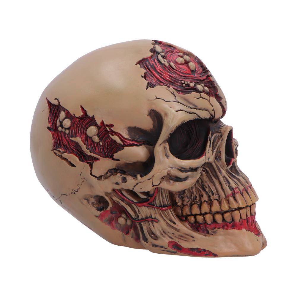 Hall of Horrors Walker of Death Zombie Skull | Gothic Halloween Skull Ornament | Nemesis Now 15.5cm