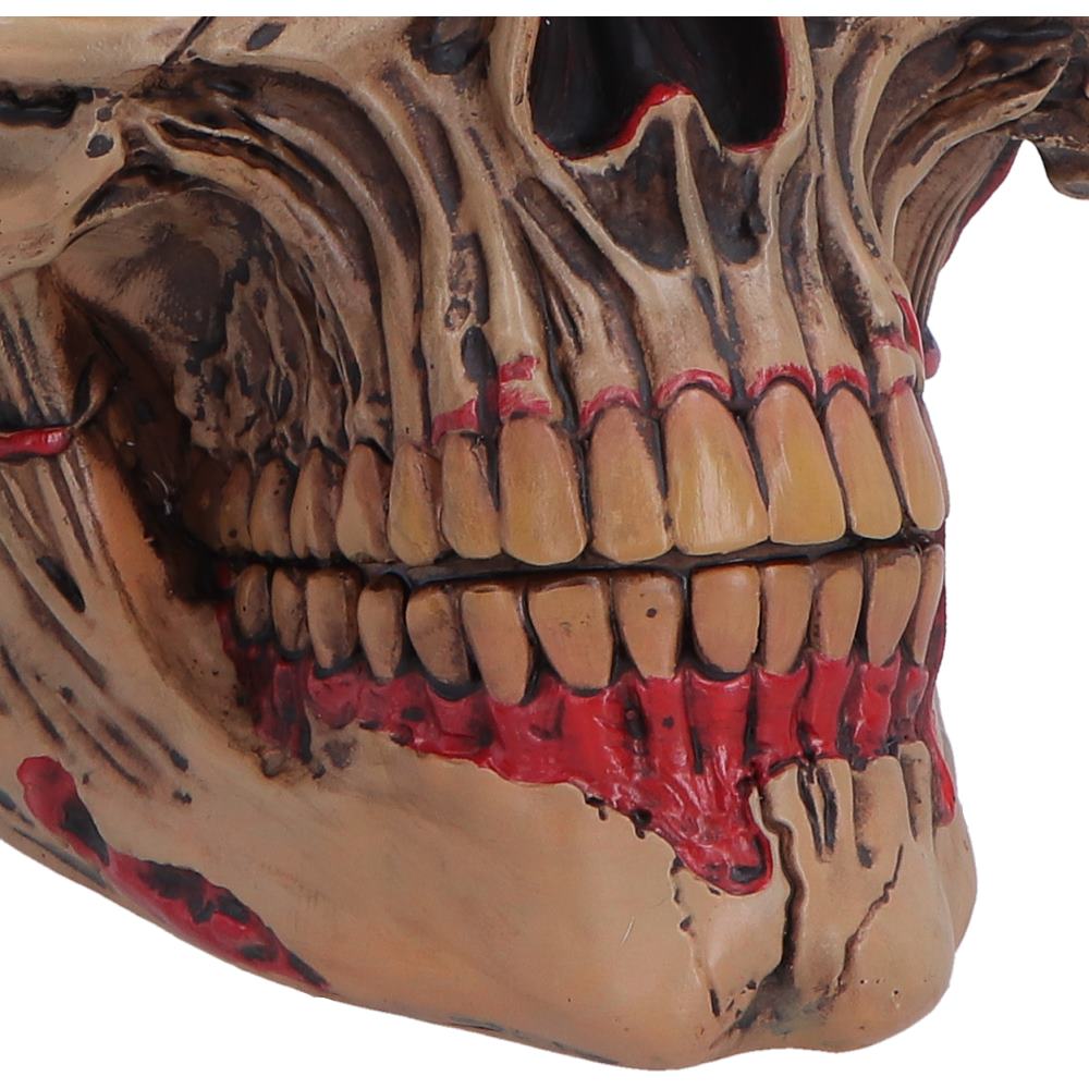 Hall of Horrors Walker of Death Zombie Skull | Gothic Halloween Skull Ornament | Nemesis Now 15.5cm