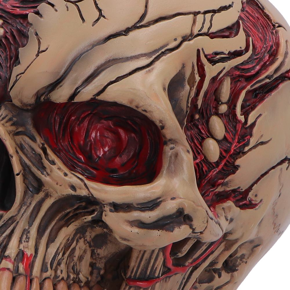 Hall of Horrors Walker of Death Zombie Skull | Gothic Halloween Skull Ornament | Nemesis Now 15.5cm
