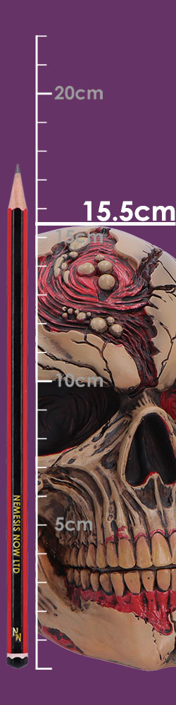 Hall of Horrors Walker of Death Zombie Skull | Gothic Halloween Skull Ornament | Nemesis Now 15.5cm